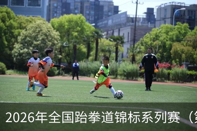 2026年全国跆拳道锦标系列赛（第二站）在广州举行
